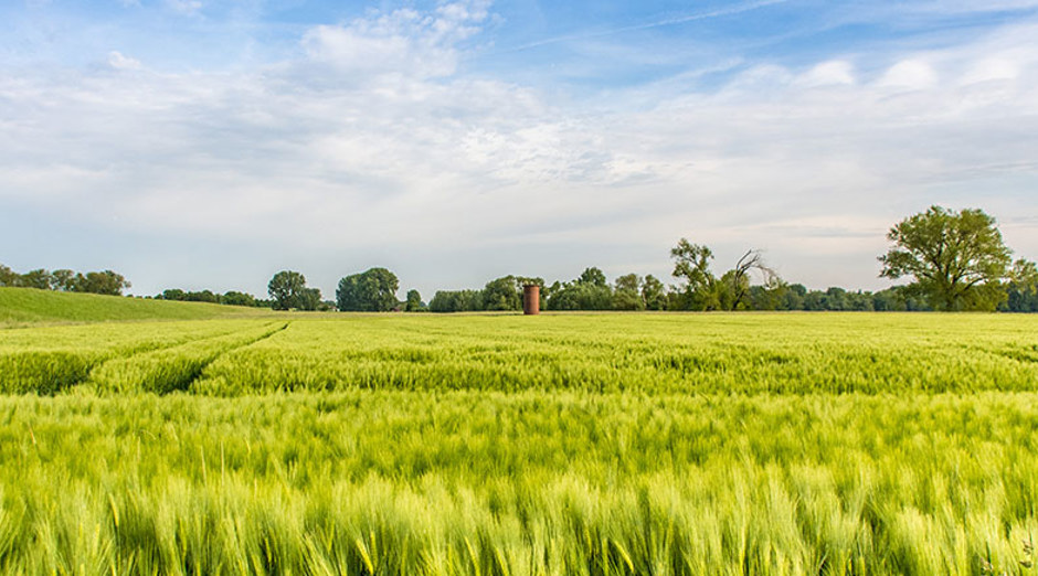 Mittel gegen Allergien