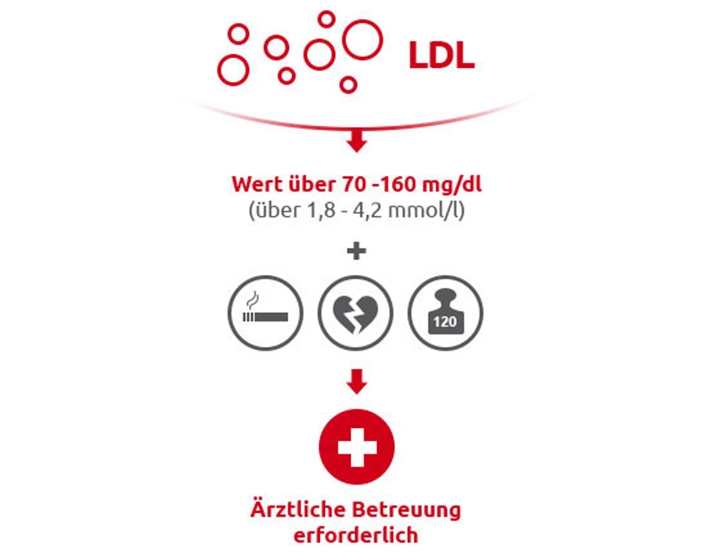 Cholesterin - Ratgeber | ALIUD PHARMA